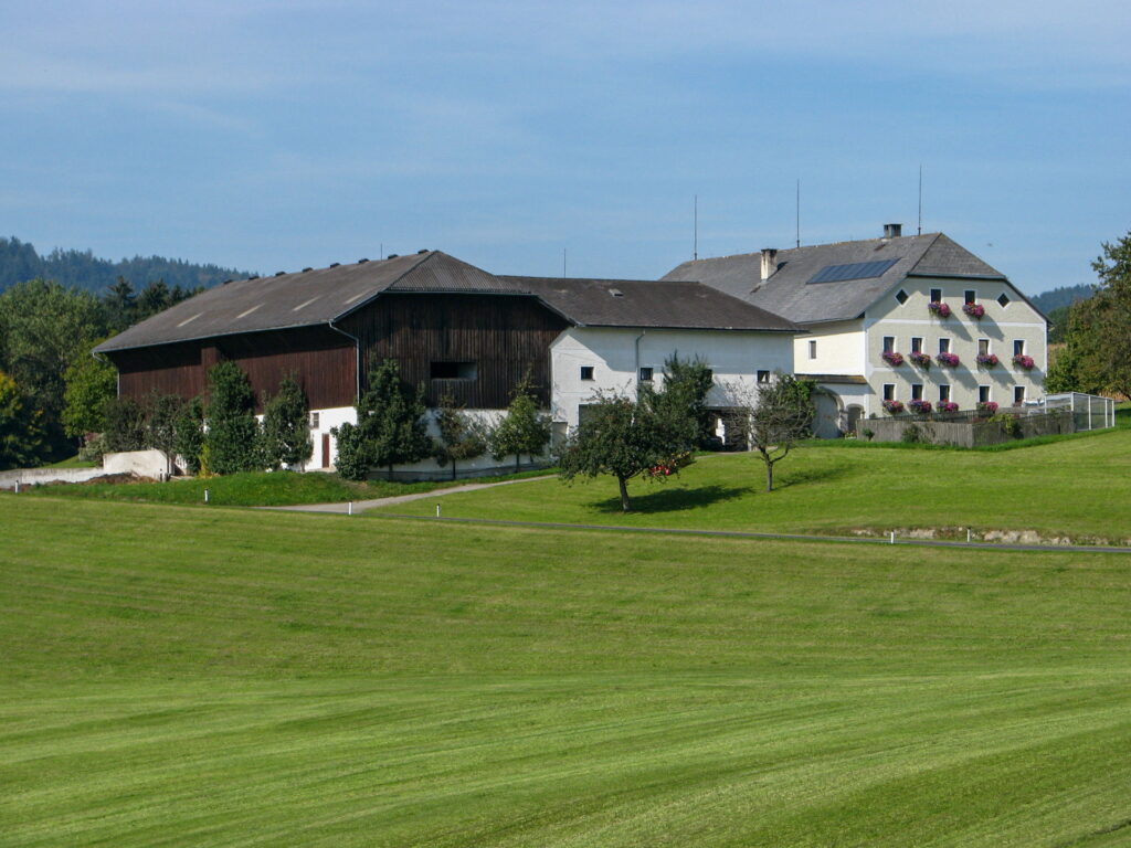 Frisches Gemüse, nachhaltig aus dem Mühlviertel